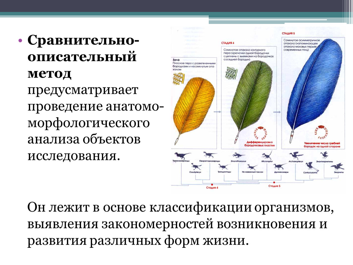 Описательный метод является