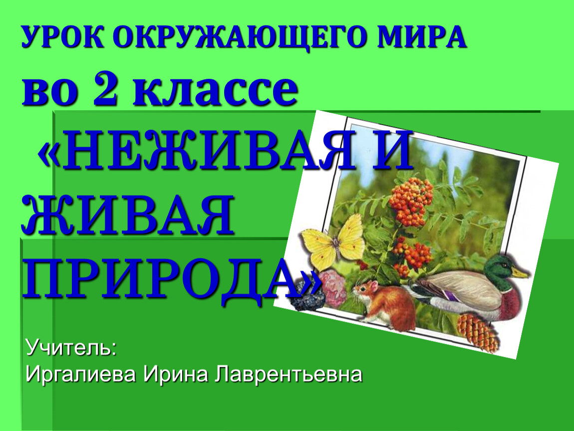 Мир природы 2 класс. Презентация Живая и неживая природа 2 класс. Живая и неживая природа 2 класс окружающий мир презентация. Живая и неживая природа 3 класс окружающий мир. Урок 2 класс окружающий мир Живая и неживая природа.