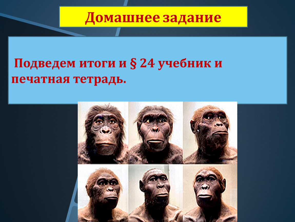 Как появился человек. Когда появился человек. Откуда появилось человечество.