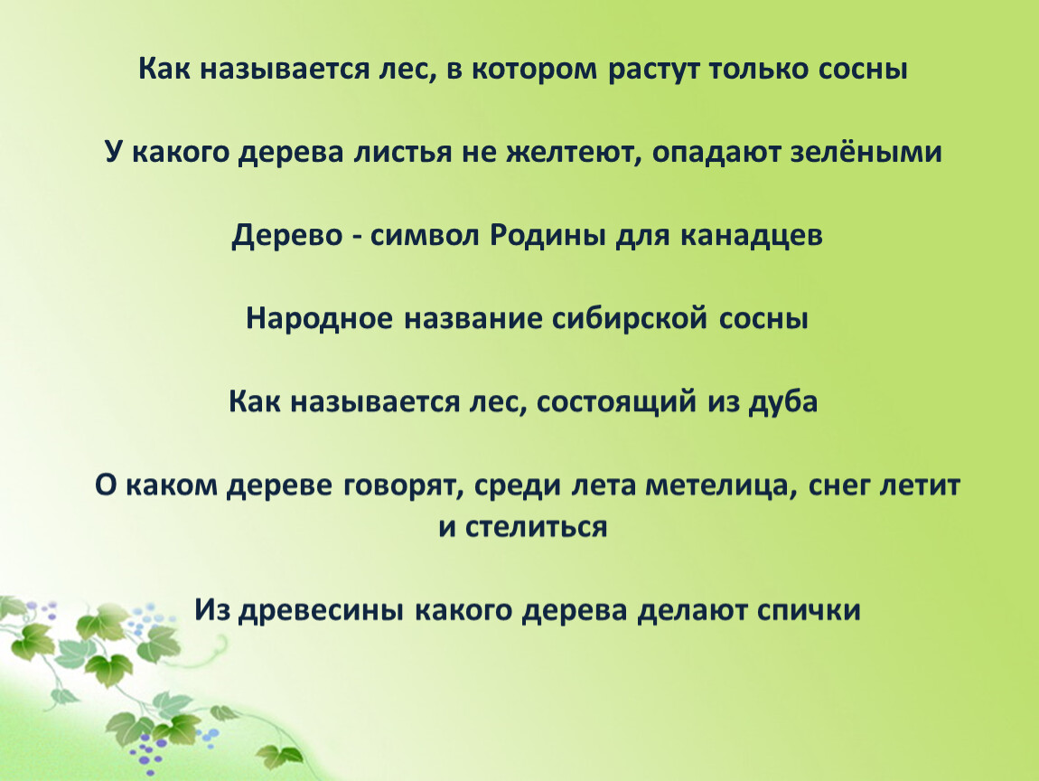 Главный в лесу как называется. Лес в котором растут только сосны называется. Как называется лес в котором растут только сосны. Как называется лес в котором растёт только Асино.