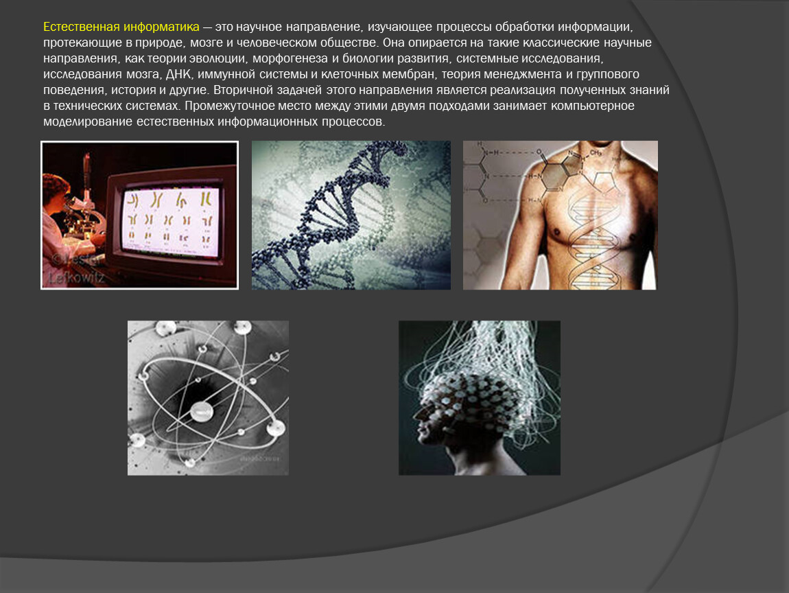 Естественные науки человека. Естественная Информатика. Информатика это естест. Информатика как естественная наука. Информатика это научное направление изучающее.