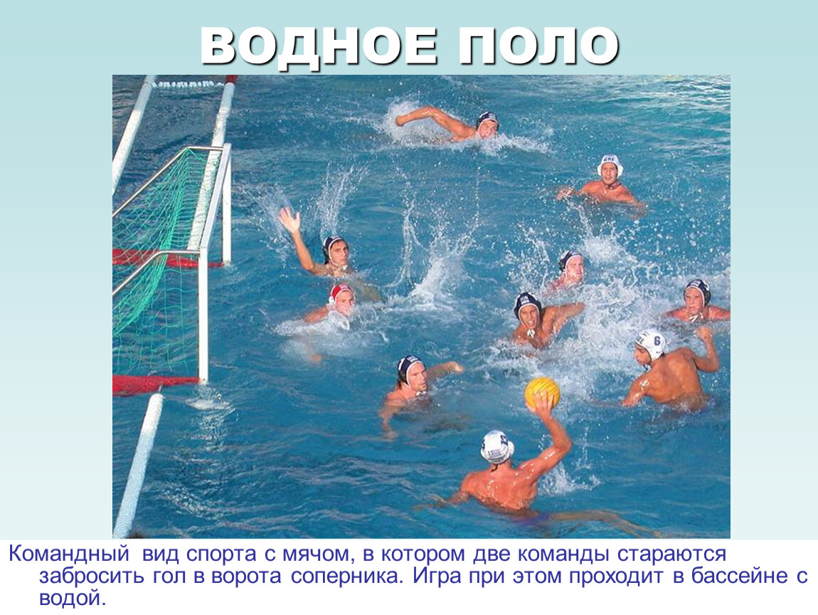 Проект водные виды спорта