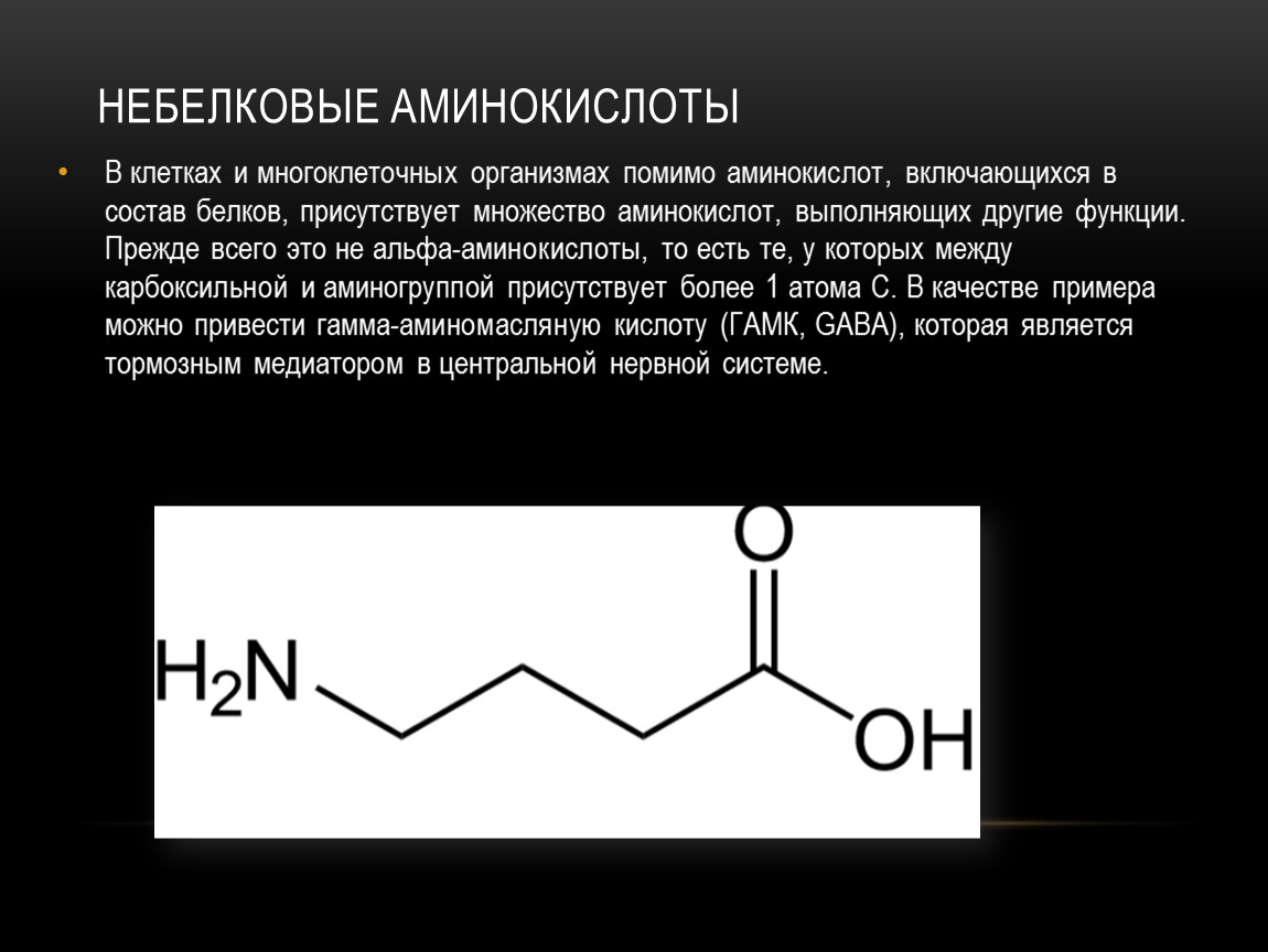 Вошедшее почему д. Аминокислоты. Аминокислоты примеры. Белковые и небелковые аминокислоты. Функции небелковых аминокислот.