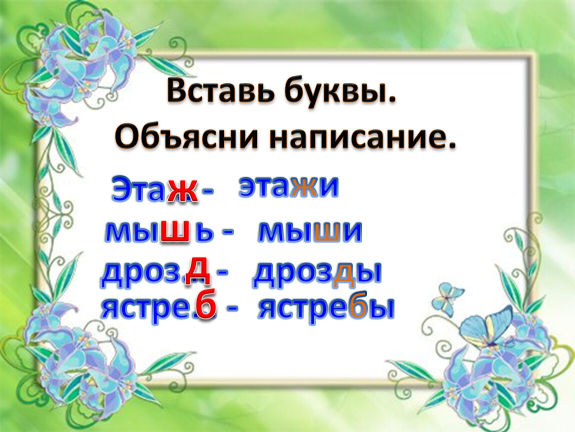 Изложение этажи в лесу 2 класс презентация