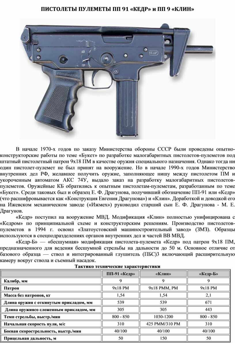 Характеристика пп 91