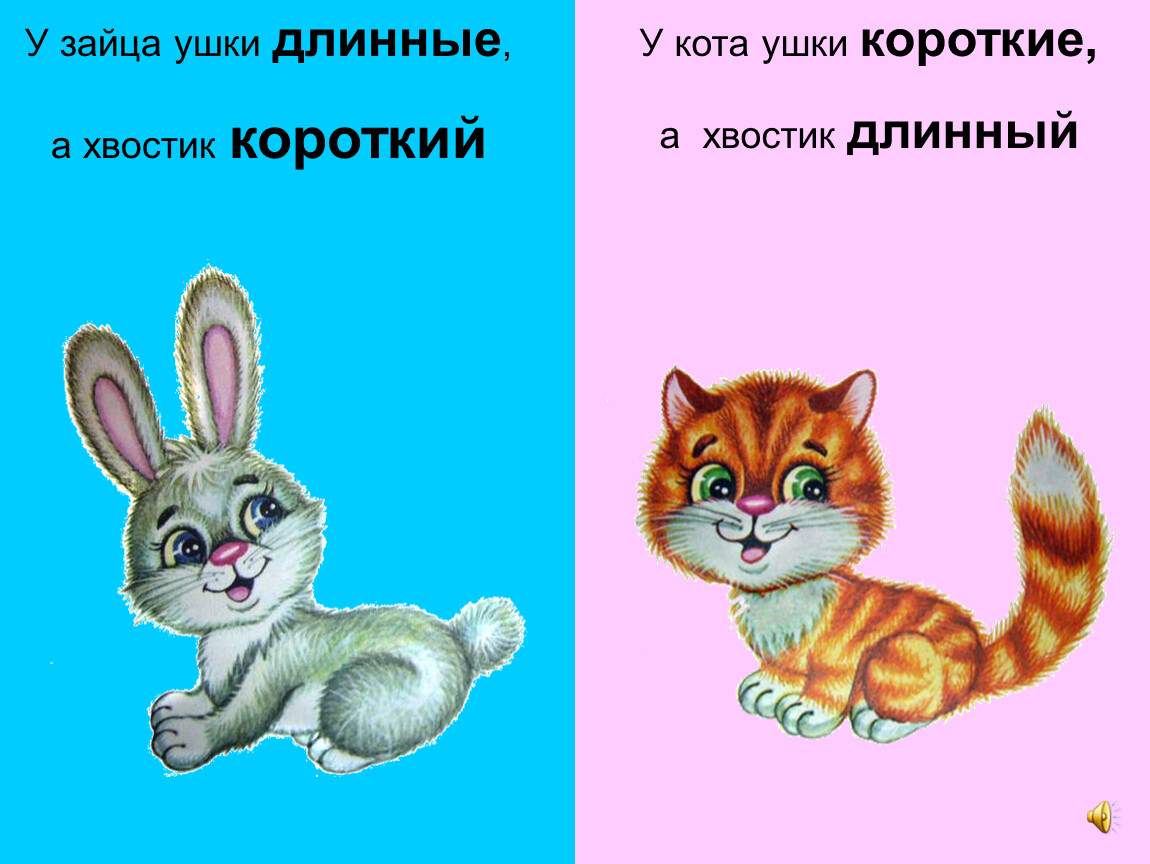 Фото длинный и короткий. Длинный короткий для малышей. Короткий - длинный. Длинный короткий для дошкольников. Длиннее короче для дошкольников.