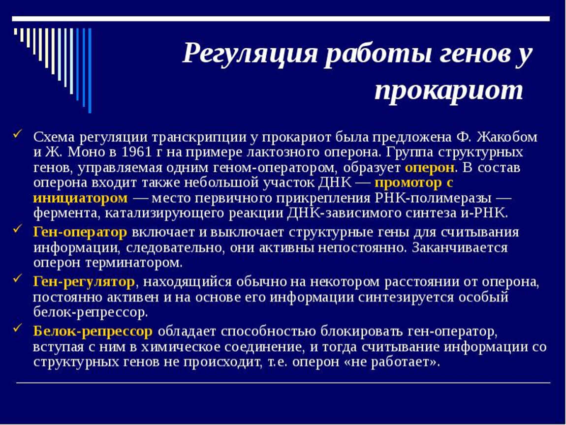 Регуляция активности генов у эукариот