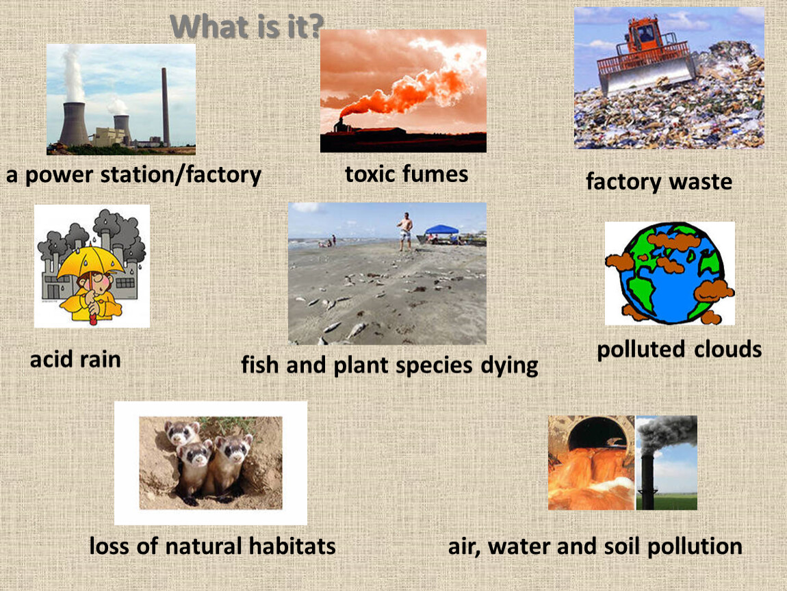 What is it? polluted clouds toxic fumes factory waste acid rain loss of natural habitats a power station/factory air, water and soil pollution fish and…