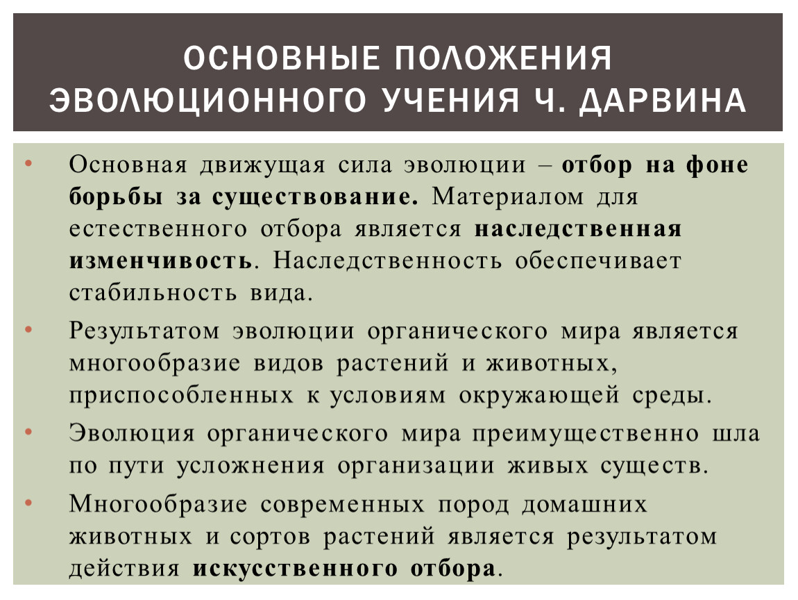 Положения эволюции. Основные положения эволюционизма. Темпы эволюции.