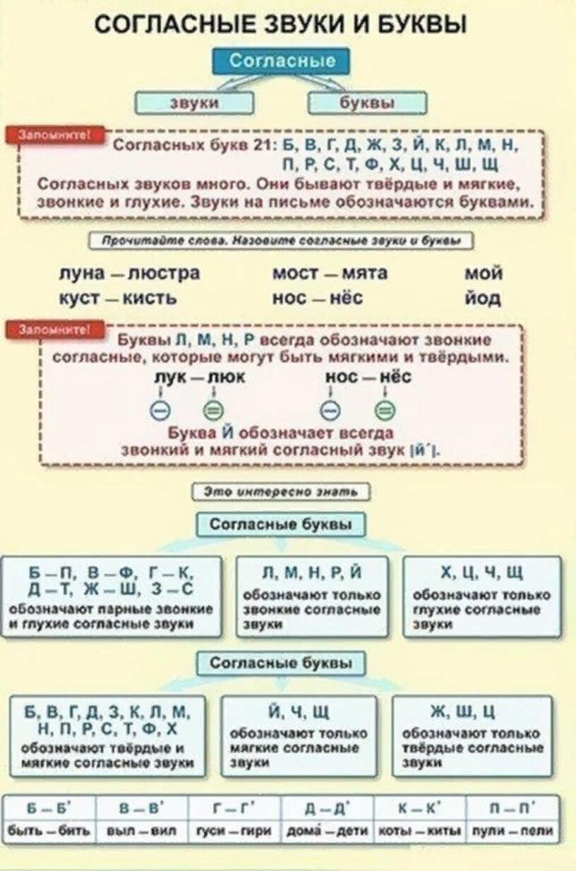 Лежали сколько букв и звуков. Памятки таблицы по русскому языку для начальной школы. Таблицы по русскому языку для начальной школы. Таблицы русский язык начальная школа. Таблицы для начальной школы.