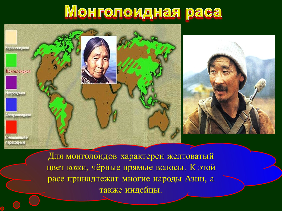 Представители монголоидной расы проживают в основном. Ареал монголоидной расы. Места расселения монголоидной расы. Ареал обитания монголоидной расы. Монголоидная раса народы.
