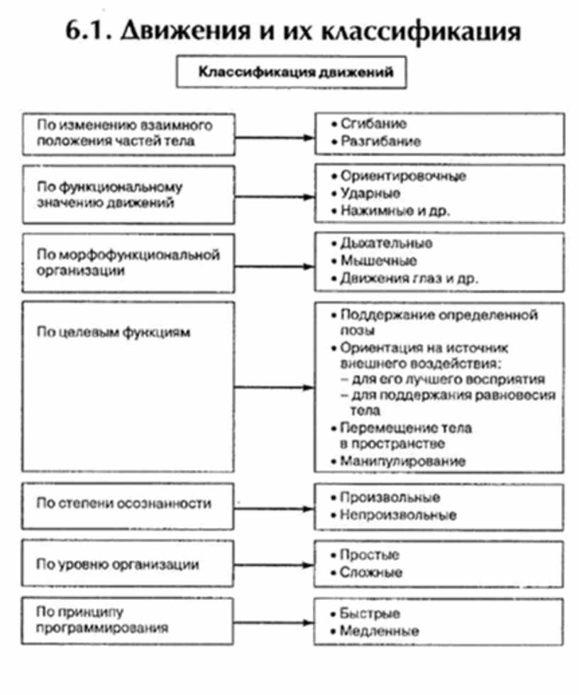 Классификация движений. Классификация движений психофизиология. Виды движений в психологии. Классификация од типы движений.