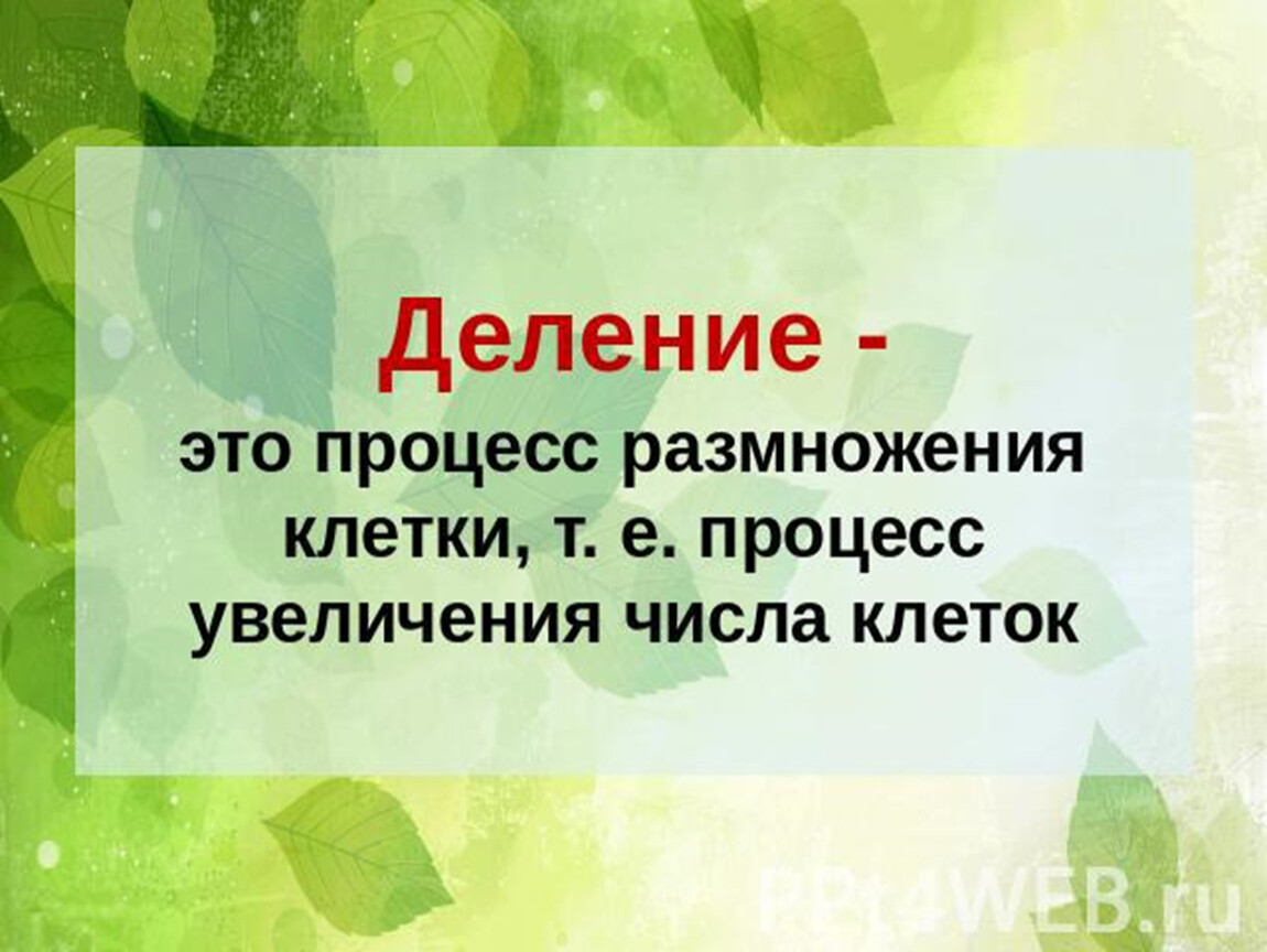 Процессы жизнедеятельности протекают в клетках. Жизнедеятельность клетки ее деление. Жизнедеятельность клетки 5 класс биология. Жизнедеятельность клетки 5 класс деление клетки. Жизнедеятельность клеток ее деление и РОСТО.