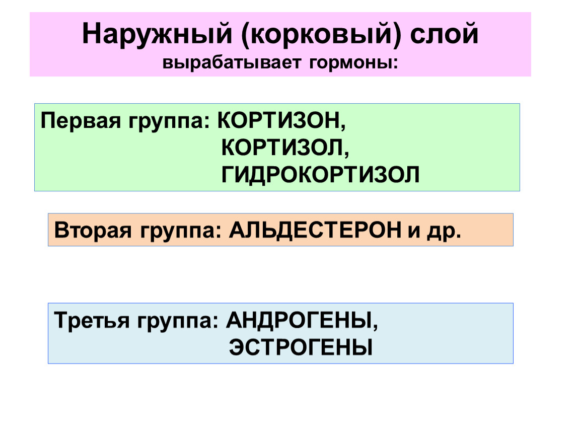 Гормоны первой группы. Работа эндокринной системы и её нарушения 8 класс. 2 Группы наружных слой выработки гормонов. Работа эндокринной системы и ее нарушения 8 класс схема. Кортизол гидрокортизол.