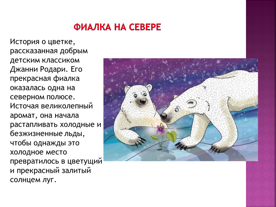 Рисунок фиалка на северном полюсе