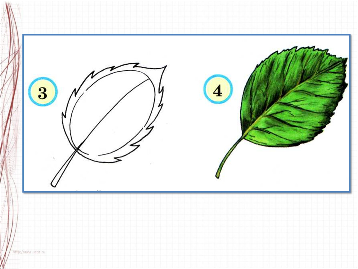 1 кл уроки изо. Поэтапное рисование листьев. Схема рисования листьев для детей. Рисование листика в 1 классе. Урок изо рисование листьями.