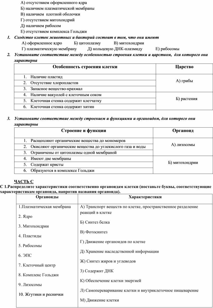 А) отсутствием оформленного ядра