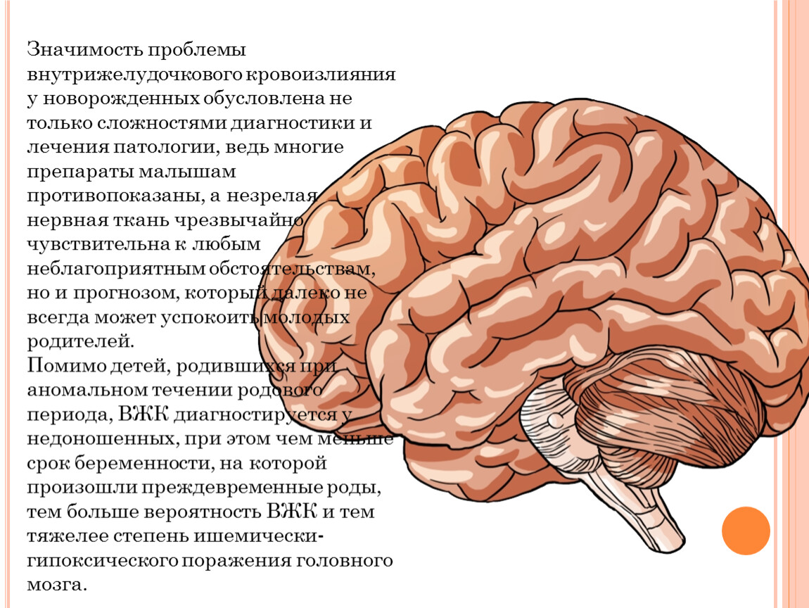 Перинатальное поражение центральной нервной системы у глубоконедоношенных новорожденных