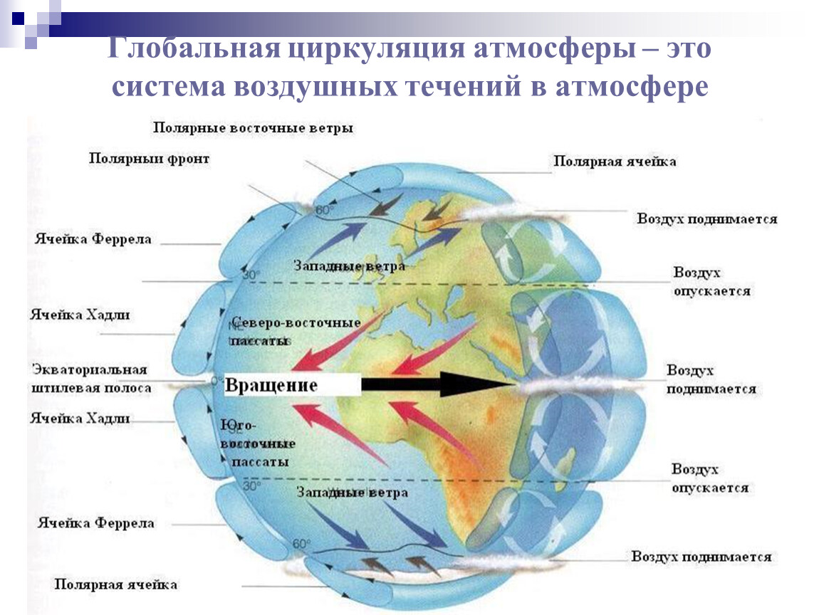 Направление воздушных течений. Схема глобальной циркуляции атмосферы. Схема общей циркуляции атмосферы. Зональные типы циркуляции атмосферы.