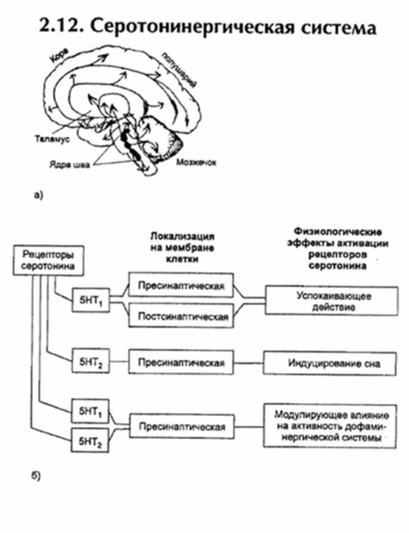 Карта схема психофизиология внимания