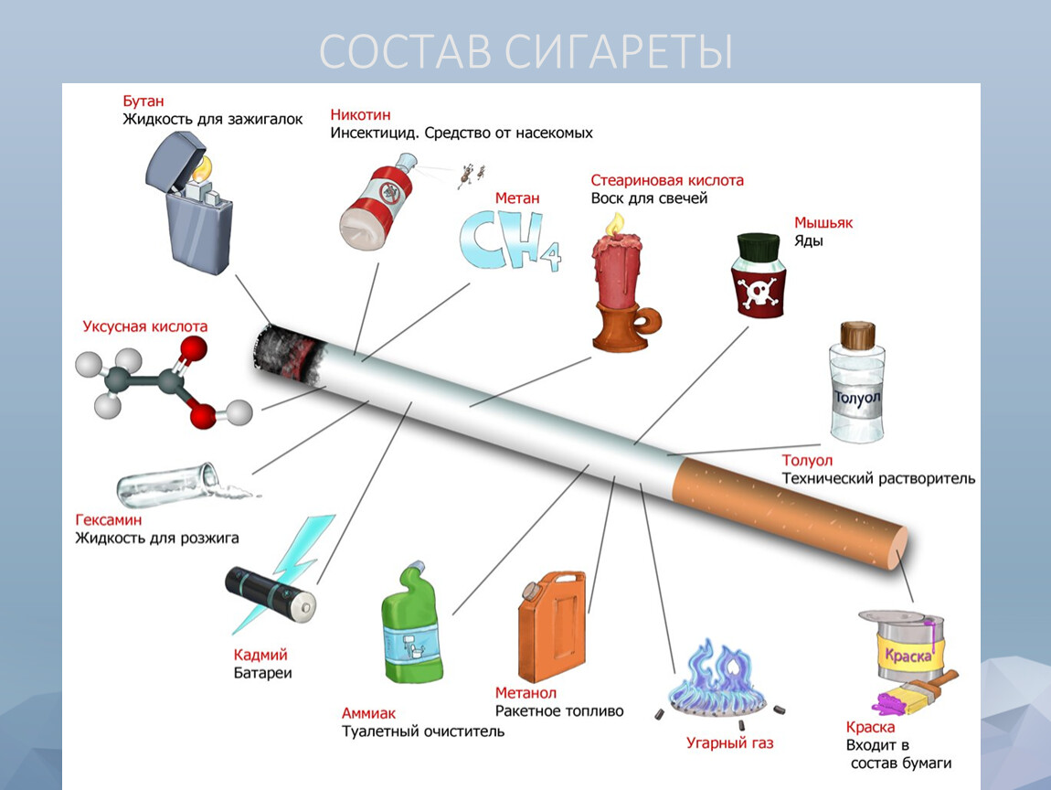 Фото из чего состоит сигарета