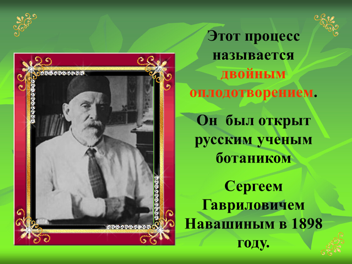 С г навашина фото. С Г Навашин жизнь и научная деятельность. Жизнь и научная деятельность ученого ботаника с.г Навашина.