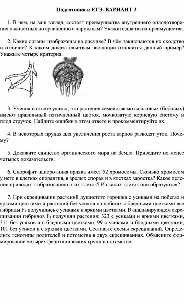 В чем проявляются особенности биосферы как оболочки Земли?