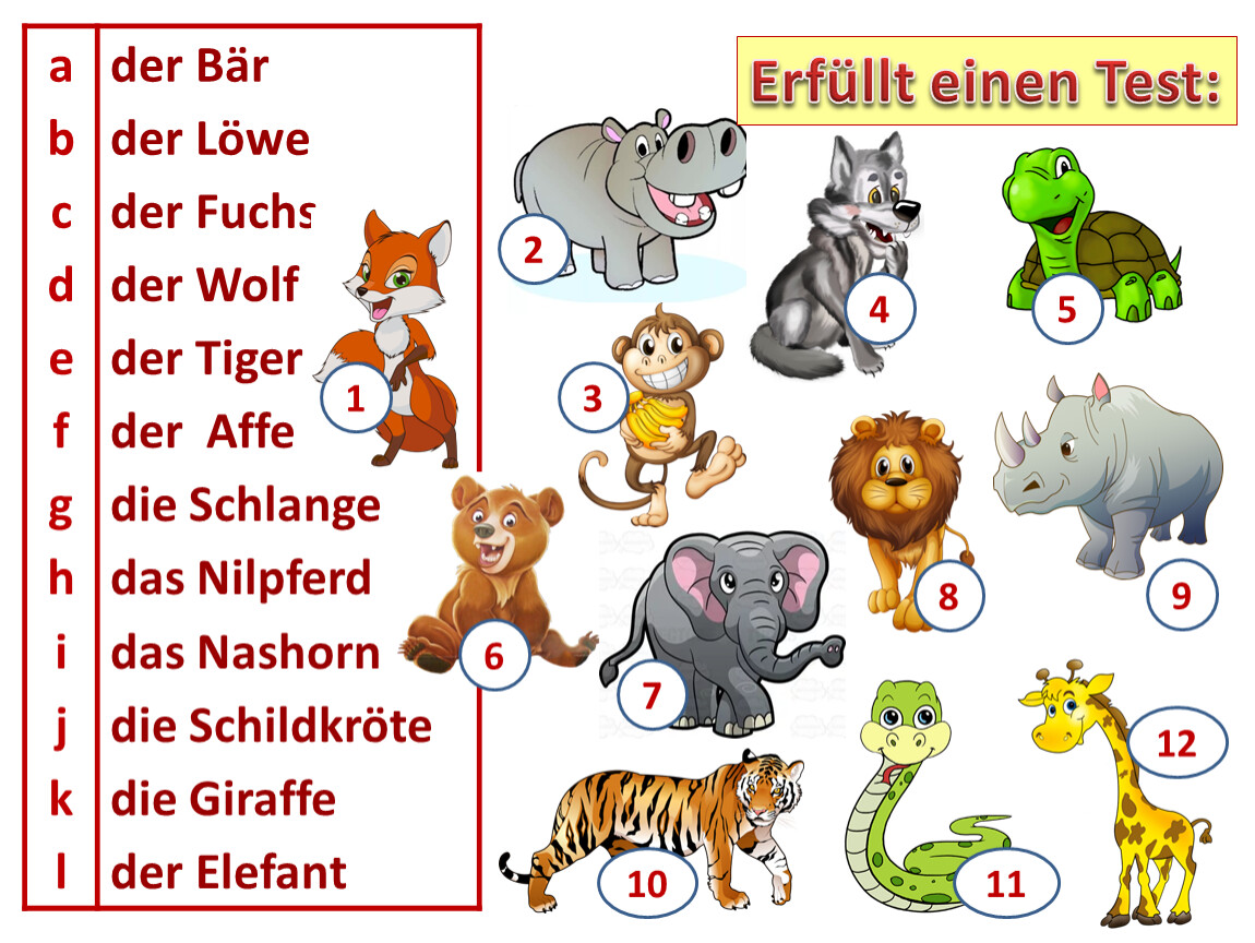 Der bär