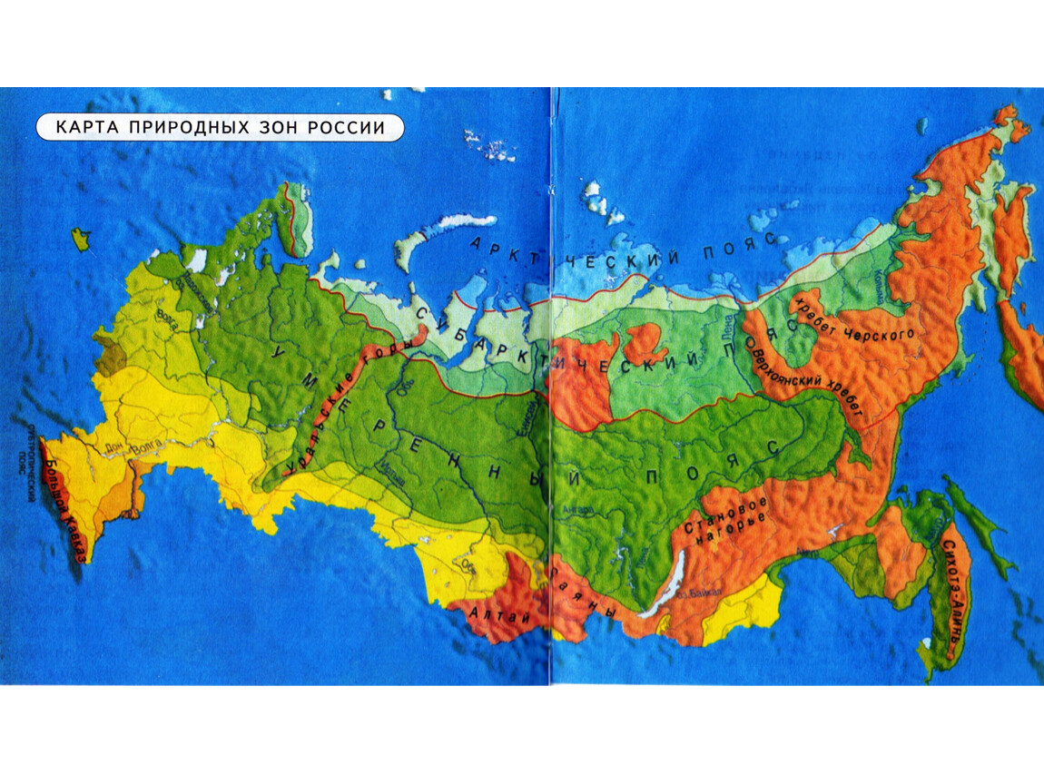 Карта природных зон России из атласа