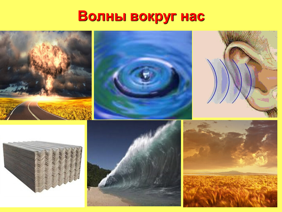 Волны физик. Механические волны в природе. Механические волны в жизни. Волны вокруг нас. Волны в природе физика.