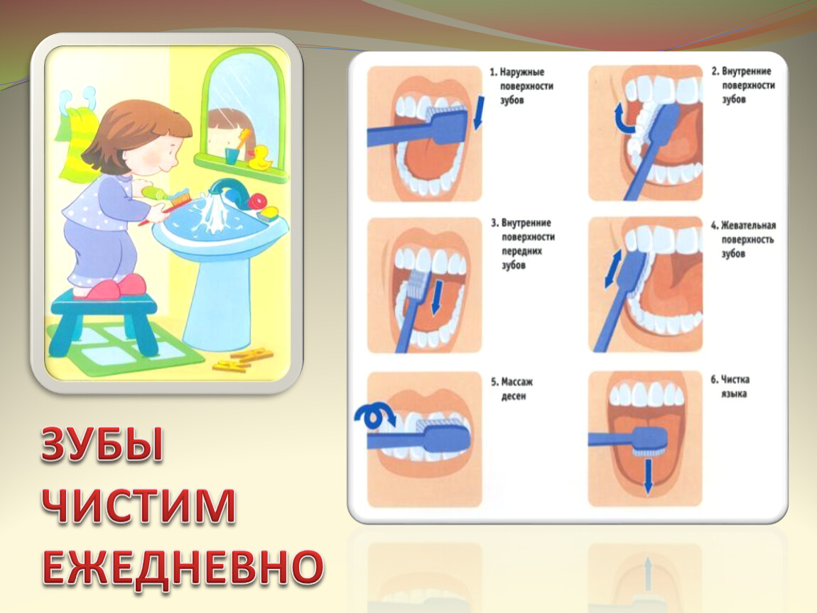 Полезно чистить зубы. Алгоритм чистки зубов для дошкольников. Схема чистки зубов для детей. Схема правильной чистки зубов. Алгоритм чистить зубы для детей.