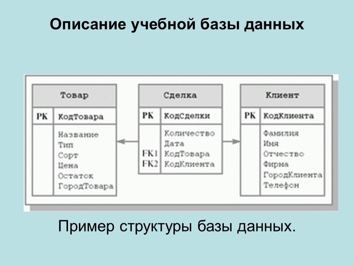 Запись файла базы данных состоит из. Примеры баз данных. Структура базы данных пример. Описание базы данных. Организационная структура базы данных.