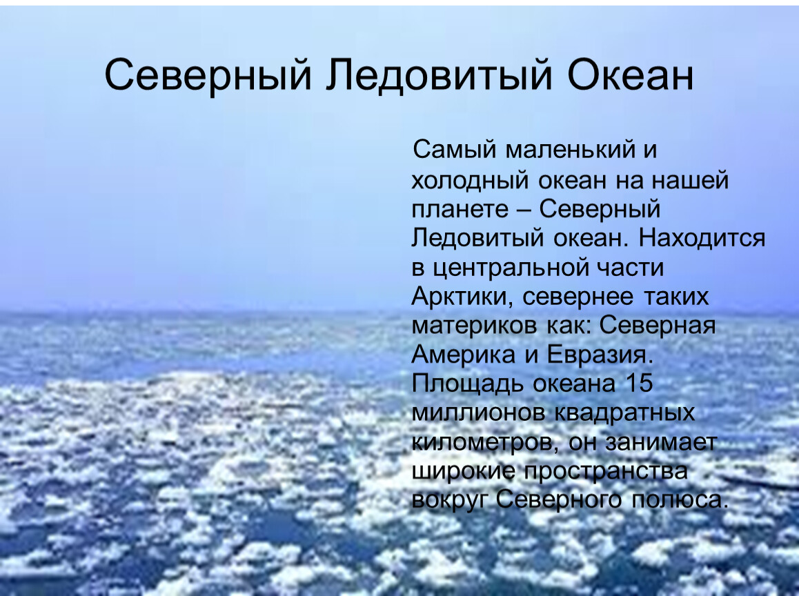 Ледовитый океан факты