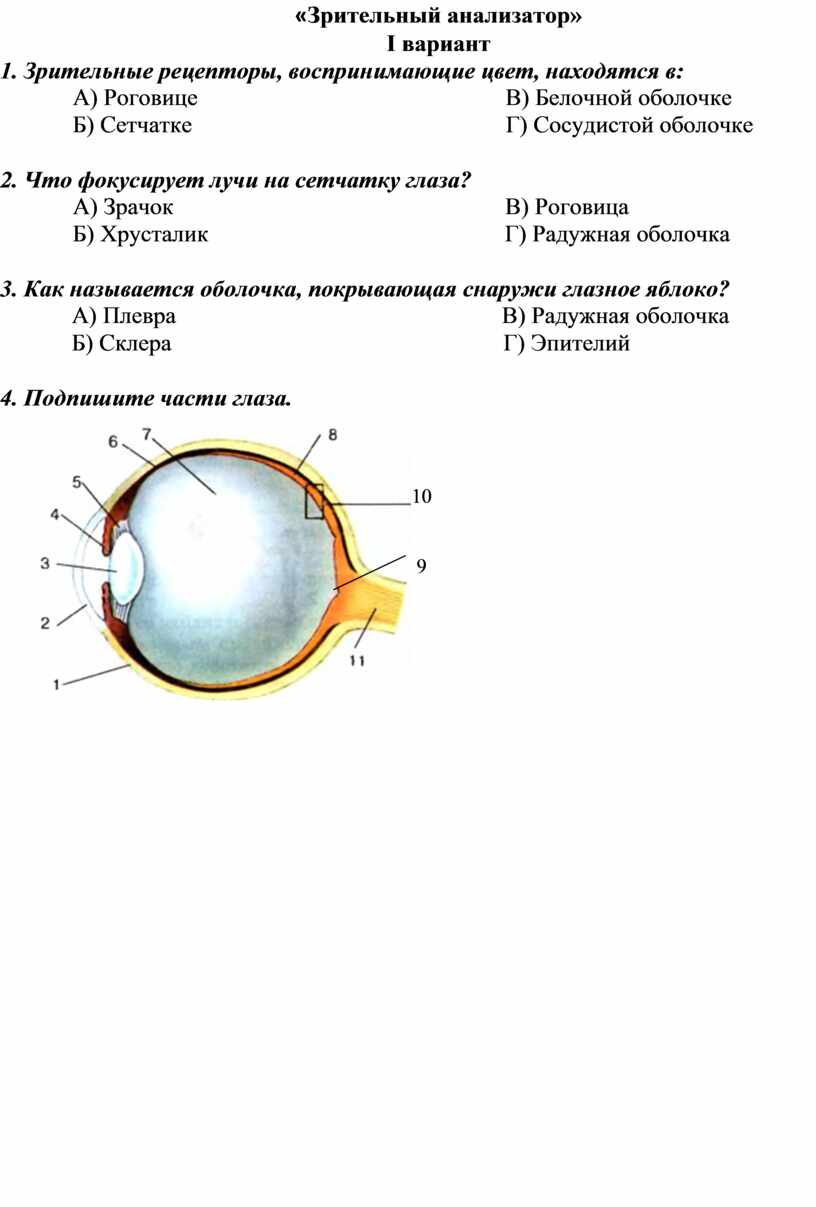 Конспект урока по биологии. 8 класс. Слуховой анализатор