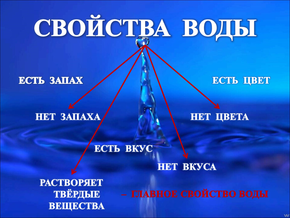 Вода есть цвет. Свойства воды на планете.