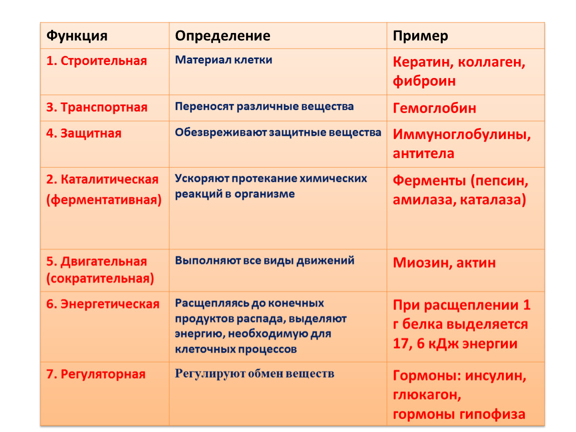 Строение белков презентация