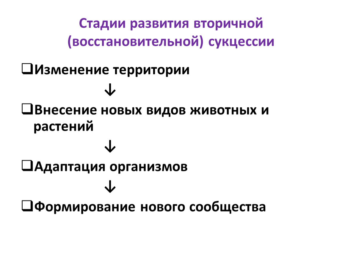 Этапы Развития Фотографий