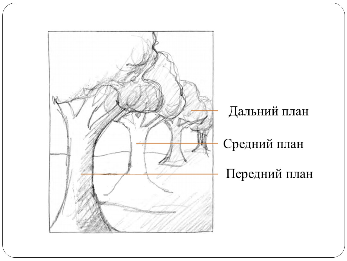 Планы картины урок. Передний средний Дальний план. Передний план средний план Дальний. Картины с дальним планом. Средний план картины.