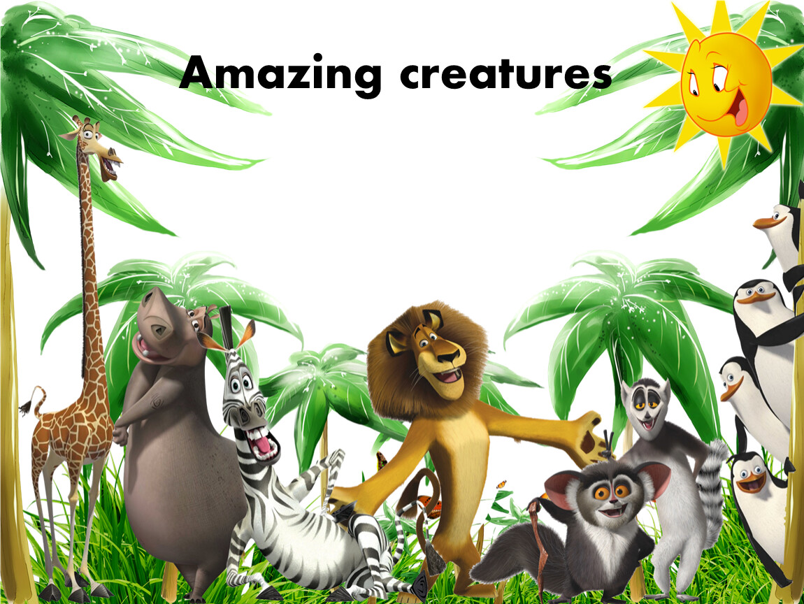 Amazing creatures 5 класс spotlight презентация