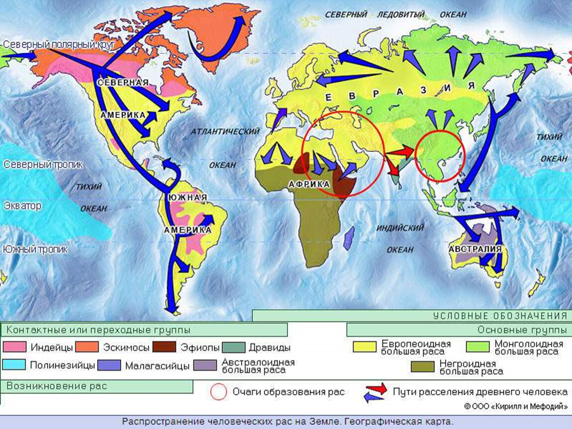 Распространение людей на земле 6 класс география. Расселение древних людей по земле. Карта заселения земли человеком. Распространение древних людей на земле.