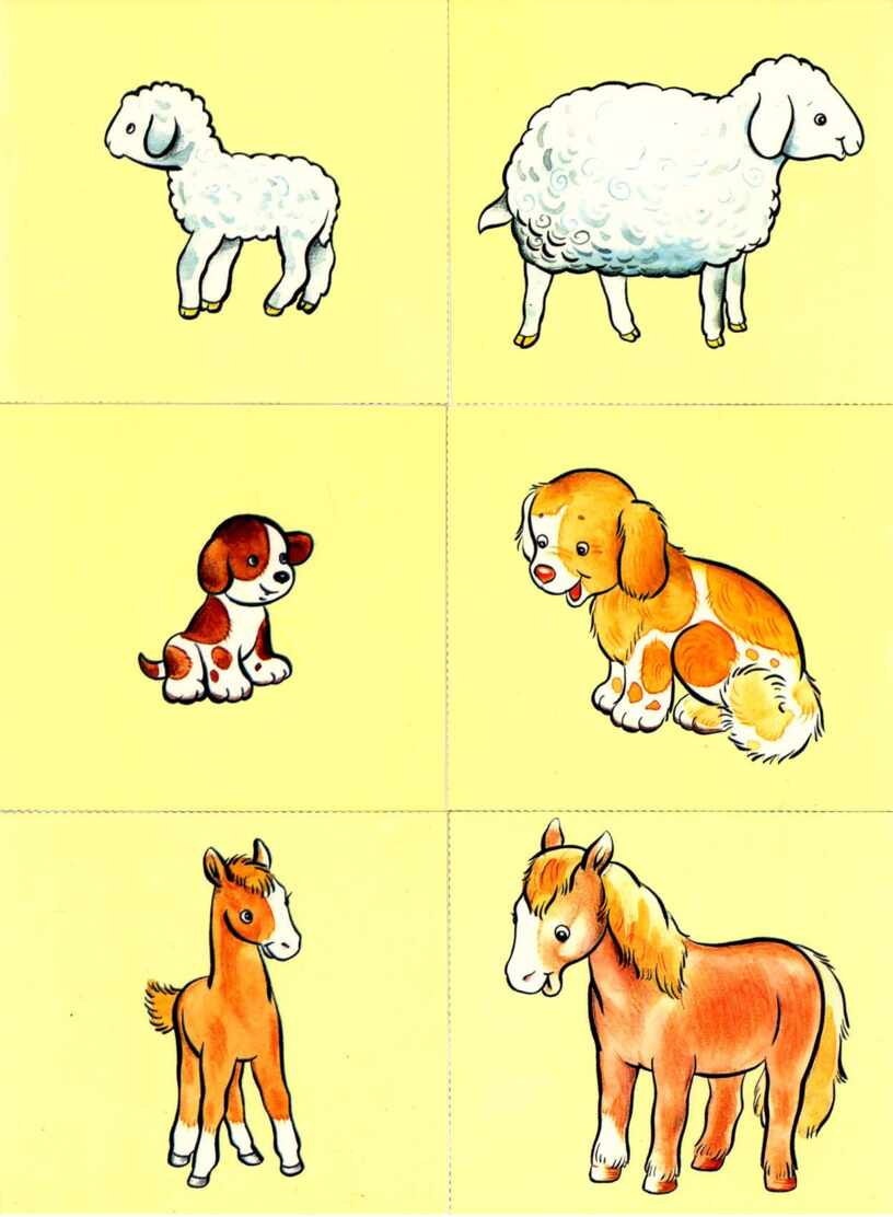 Игра чья мама. Животныедлы малышей. Дошкольникам о домашних животных. Картинки домашних животных для детей. Иллюстрации животных для детей.