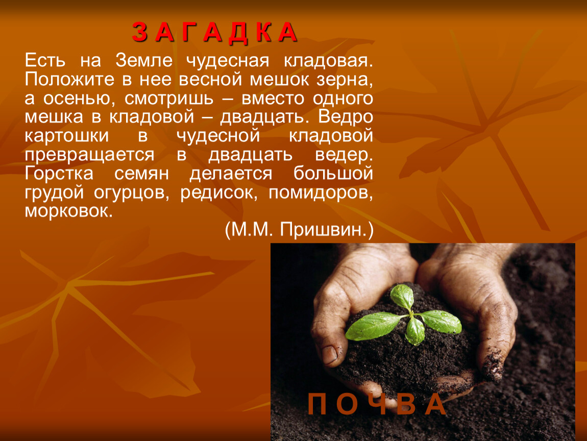 Здесь земля чудесно. Есть на земле чудесная кладовая. Положите. Проект по почве. Проект на тему почва. Почва чудесная кладовая.