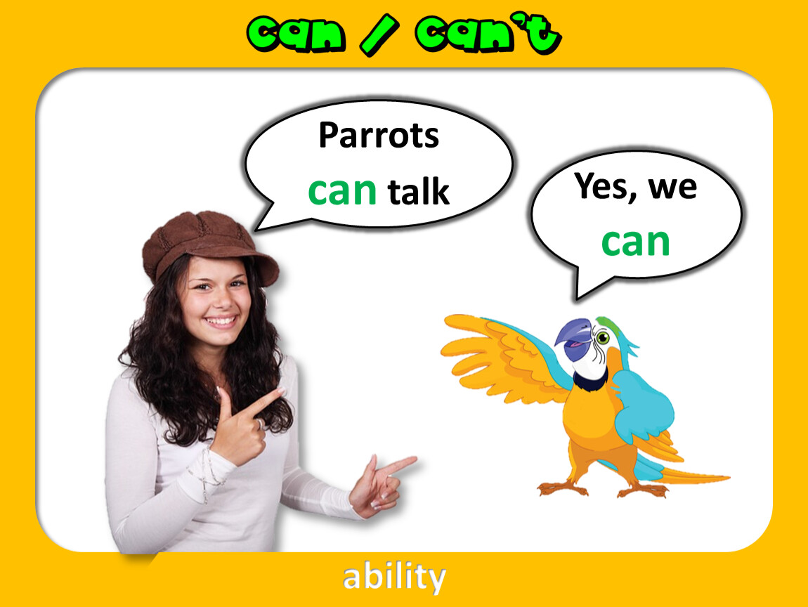 Talk yes. Can Parrots talk. Can Parrots talk ответ на вопрос. Can Parrots talk ? 3 Класс. Can Parrots talk Подбери правильный ответ на вопрос.