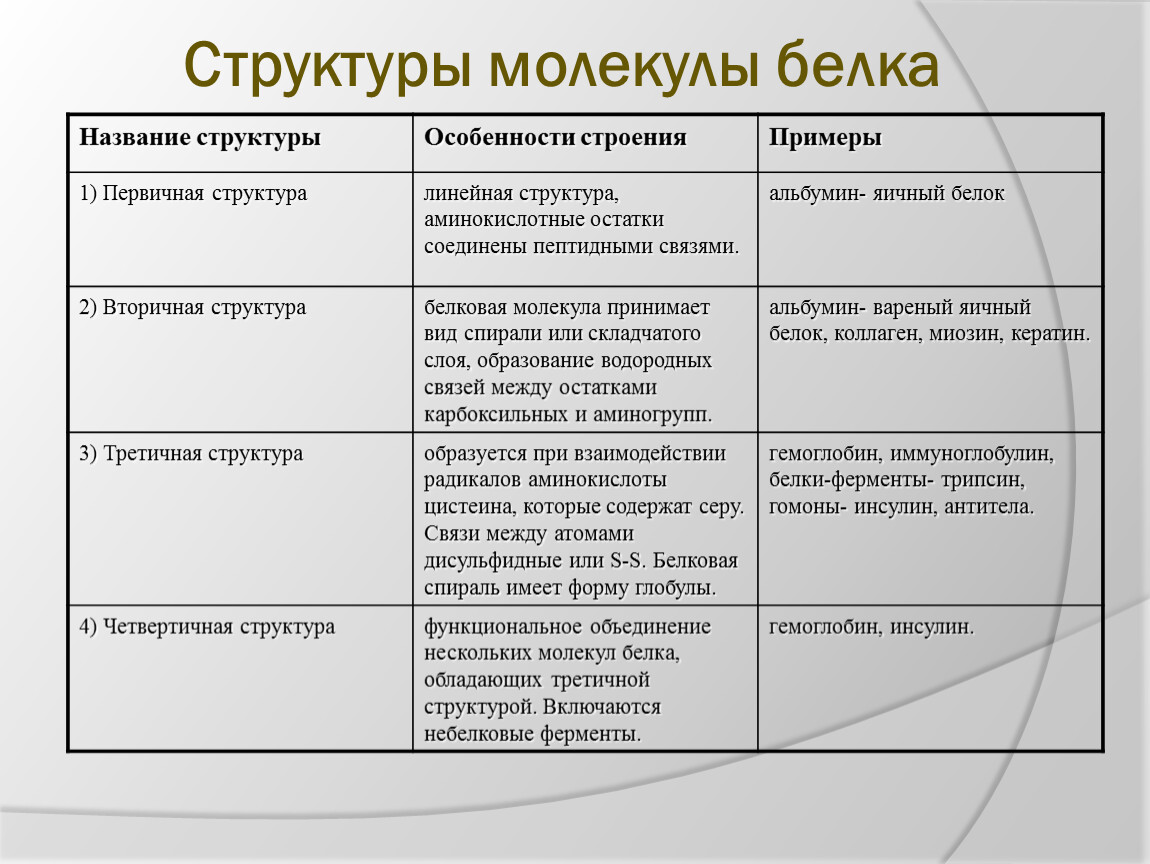 Особенности строения белка. Уровни организации молекул белка таблица. Структуры белка таблица 10 класс. Структуры молекул белков таблица. Первичная структура белка характеристика структуры.