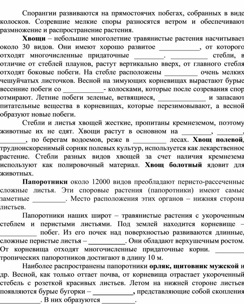Спорангии развиваются на прямостоячих побегах, собранных в виде колосков