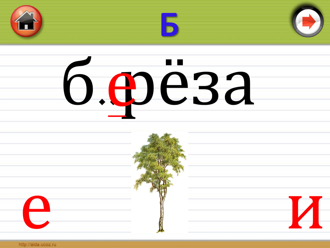 б..рёза е е и Б