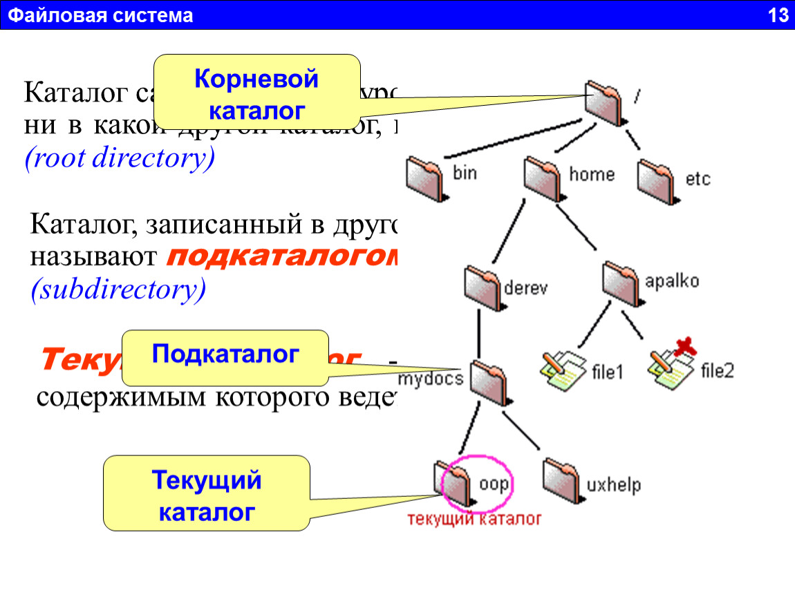 Подкаталог каталога проза чехова. Файлы и файловые системы задачи. Иллюстрация файл и файловая система. Рисунок по информатике 7 класс из файла мыш.