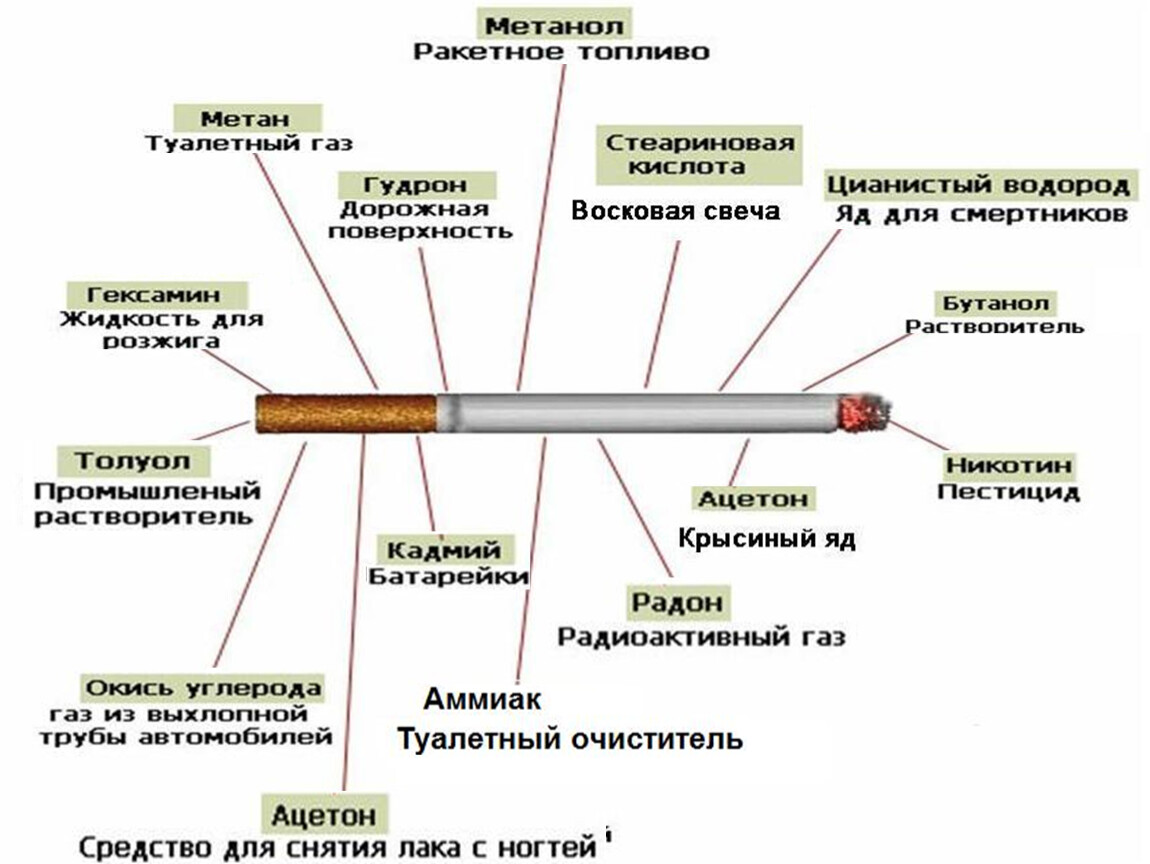 Проект на тему влияние курения на организм человека 10 класс