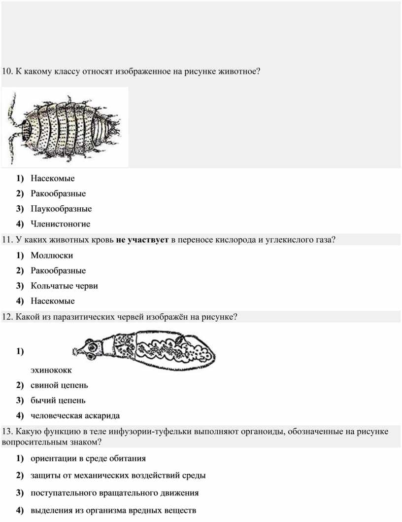 Какие признаки характерны только для типа к которому относят изображенное на рисунке животное