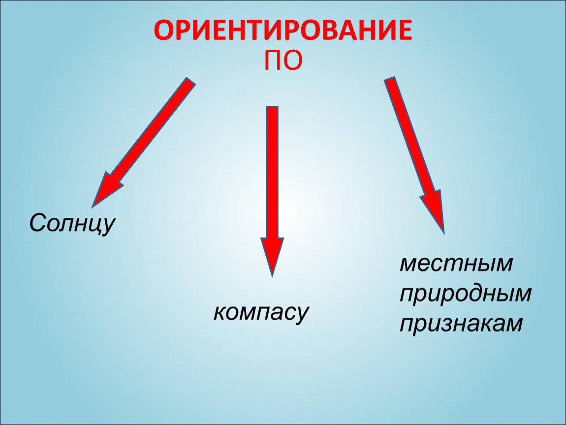 Ориентация классов. Ориентирование по солнцу. Ориентирование на местности 2 класс окружающий мир.